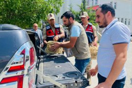 Kaçak Keklik Avlayan 2 Kişiye 15 Bin 228 Lira İdari Para Cezası Uygulandı
