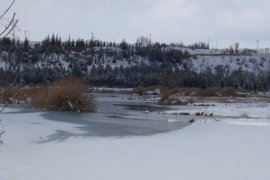 Aktivistler Kuşlar İçin Doğaya Yem Bıraktı