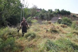 Bitlis ve Tatvan'daki mezarlıklar temizleniyor