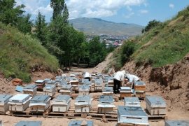 Bitlisli Kadınlar 7 Kovanla Başladıkları Arıcılıkta 100 Kovana Ulaştı