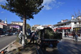 Tatvan’da Park ve Bahçelerden Ağaç Budama Çalışmaları