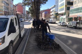 Tatvan’da Park ve Bahçelerde Yaz Bakımı Başladı