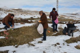 Tatvan'da yabani hayvanlar için doğaya yiyecek bırakıldı