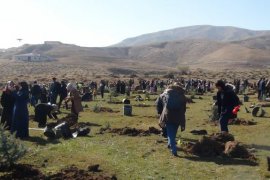 Bitlis’te fidan dikimine büyük katılım