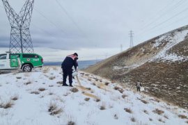 Bitlis’te Jandarma, Sokak Hayvanları İçin Doğaya Yem Bıraktı