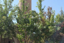 Daha temiz bir Bitlis için çöp konteynerleri suni çimle kaplandı