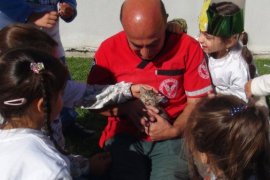 Hayvan Sevgisini Aşılamak Amacıyla Öğrencilere Yönelik Farkındalık Etkinliği Düzenlendi