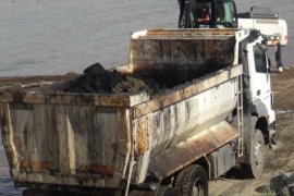 Tatvan Sahilinde Van Gölü Dip Temizliği Çalışmaları Devam Ediyor