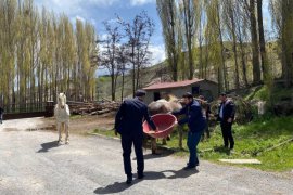 Türkiye'nin En Büyük İkinci Millet Bahçesi Turizm Sezonuna Hazırlanıyor