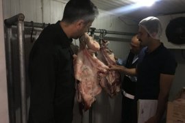 Tatvan'daki iş yerinde et denetimleri yapıldı
