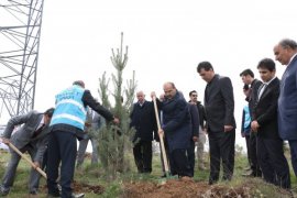 Bitlis’te fidan dikimi gerçekleştirildi