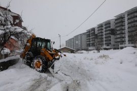 Bitlis’te Karla Mücadele Çalışmaları