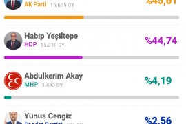 Bitlis’te 31 Mart Seçim Sonuçları