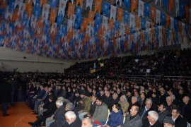 Bitlis'te AK Parti Aday Tanıtım Toplantısı yapıldı