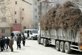 Eren Holding Tarafından Bitlis’e 100 Bin Adet Fidan Gönderildi