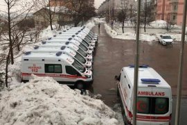 Bitlis İl Sağlık Müdürlüğü'ne tam donanımlı 11 ambulans gönderildi