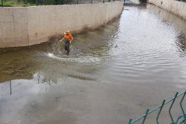 Tatvan’da İlaçlama Çalışmaları Devam Ediyor