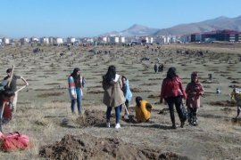 Bitlis’te fidan dikimine büyük katılım