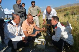BEÜ’de Arı ve Bal Üretimi Geliştirilirken, Uluslararası Standartta Bal Analizi Yapılıyor