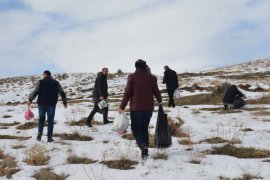 Tatvan'da yabani hayvanlar için doğaya yiyecek bırakıldı