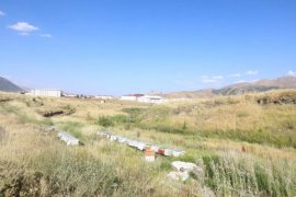Kovanlar Açıldı, Hasat Başladı Bitlis Eren Üniversitesinde Arıcılık Bilimle Büyüyor