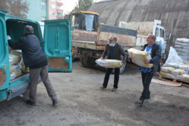 HAYTAP İle Getir Tarafından Sokak Hayvanları İçin 14 Ton Mama Gönderildi