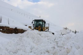 Bitlis'te 106 Köy Yolu Ulaşıma Kapalı