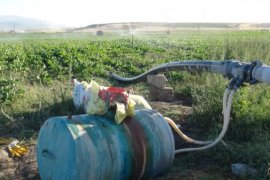 Tatvan’daki Çiftçiler Mini Sprink Fıskiye Sistemi’nden Faydalanılıyor