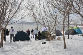 Van Gölü’ne Dikkat Çekmek İsteyen Aktivistler Dondurucu Suda Yüzdü