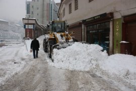 Bitlis’te Karla Mücadele Çalışmaları