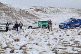 Bitlis’te Jandarma, Sokak Hayvanları İçin Doğaya Yem Bıraktı