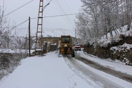 Bitlis Belediyesi'nin karla mücadele çalışmaları