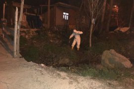 Bitlis’te karasinek ve larva ile mücadele çalışması gece gündüz devam ediyor