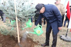 Bitlis’te Binlerce Fidan Toprakla Buluştu