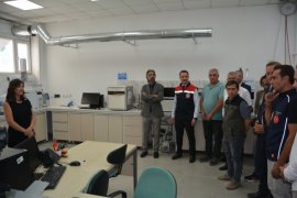 BEÜ’de Arı ve Bal Üretimi Geliştirilirken, Uluslararası Standartta Bal Analizi Yapılıyor