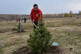 Tatvan’da 500 Adet Fidan Ekimi Gerçekleştirildi