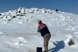 Yiyecek Bulmakta Zorlanan Yaban Hayvanlar İçin Jandarma Ekipleri Doğaya Yem Bıraktı