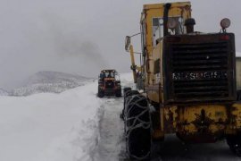 Bitlis'te 600 yerleşim alanı yolu kapalı