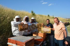 BEÜ’de Arı ve Bal Üretimi Geliştirilirken, Uluslararası Standartta Bal Analizi Yapılıyor