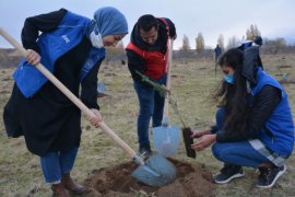 Tatvan’da 500 Adet Fidan Ekimi Gerçekleştirildi