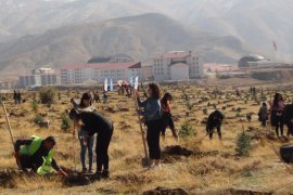 Bitlis’te fidan dikimine büyük katılım