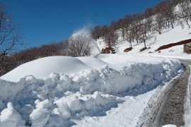 Bitlis’te Kapanan Köy Yollarını Açma Mücadelesi Sürüyor