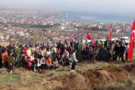 Tatvan’da 500 Adet Karaçam Fidanı Toprakla Buluştu