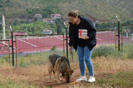 Havanseverler Bitlis Hayvan Bakım ve Rehabilitasyon Merkezi’ni ziyaret etti