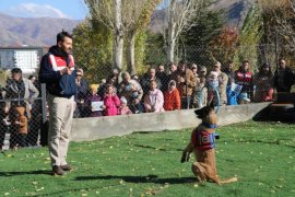 Bitlis’te Jandarmadan Milli Ağaçlandırma Gününe Destek