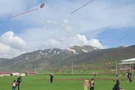 Tatvan'daki İlkokul Öğrencileri Uçurtma Şenliği Düzenledi