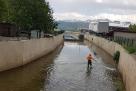 Tatvan’da İlaçlama Çalışmaları Devam Ediyor