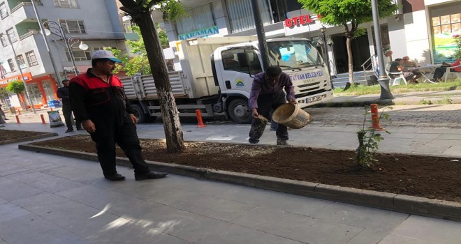 Tatvan'ın yeşile bürünmesi için belediye düğmeye bastı