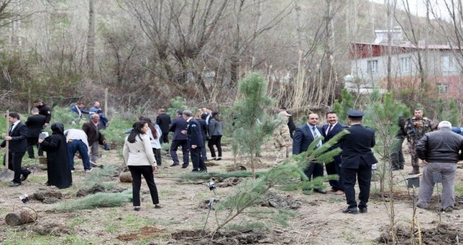 81 ildeki şehitlerin anısına Ahlat’ta 81 fidan dikildi