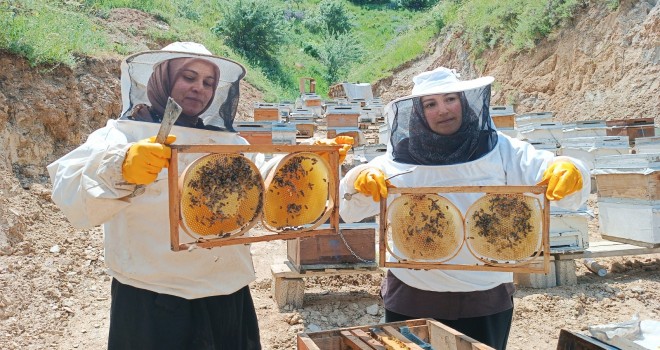 Bitlisli Kadınlar 7 Kovanla Başladıkları Arıcılıkta 100 Kovana Ulaştı
